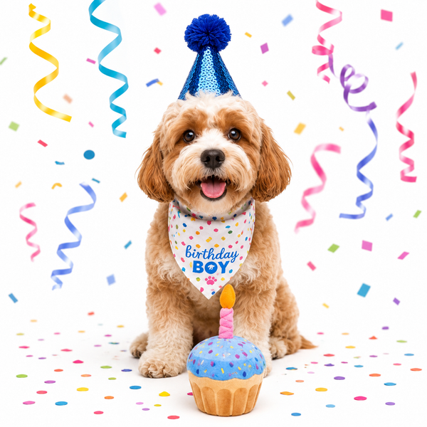 Birthday Celebration Set