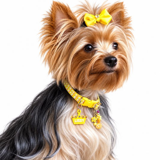 Yellow Stones Collar