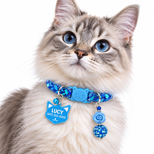 01 Light Blue Sequins Collar