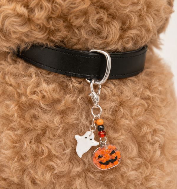 Halloween 01 - Charm
