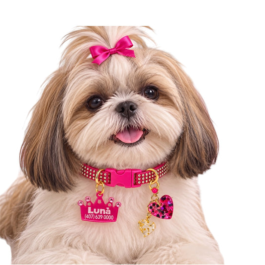 Fuchsia Collar with Gold Inlays