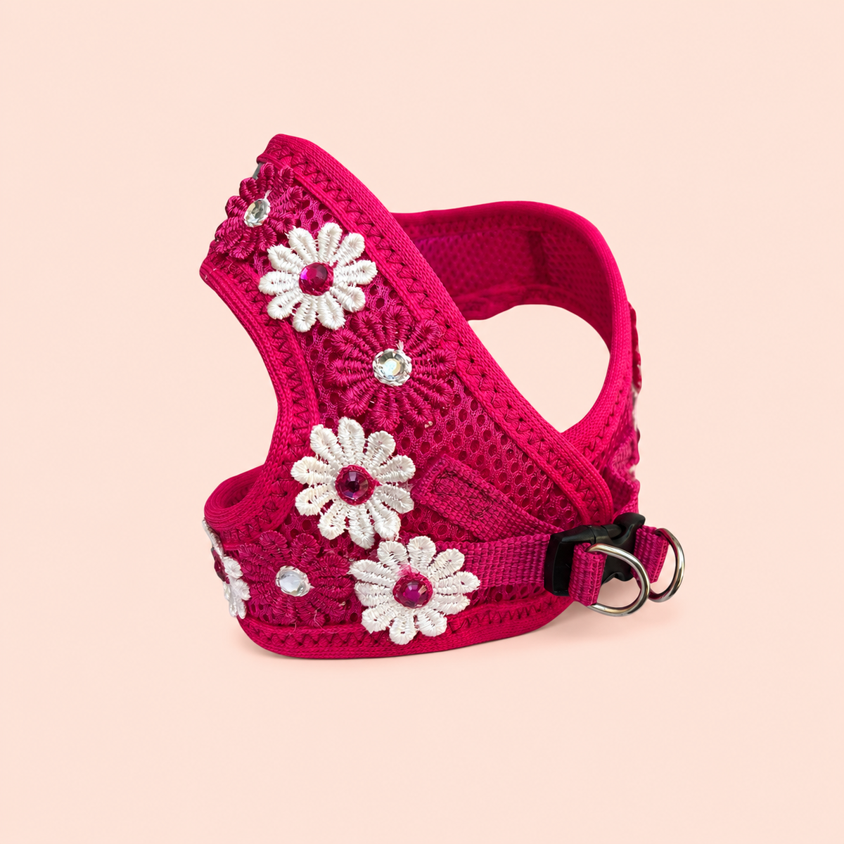 Harness