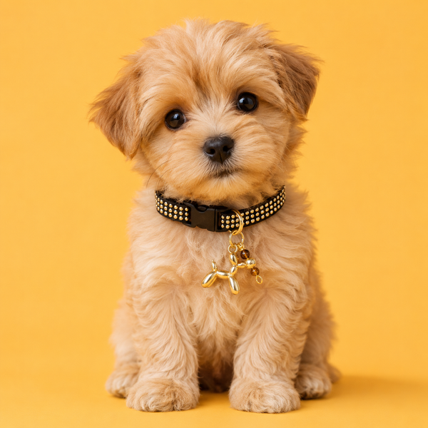 Gold Balloon Dog - Charm
