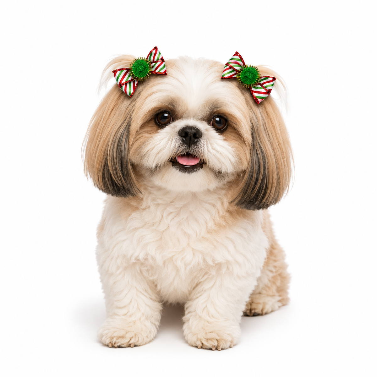Green & Red Candy Stripe Christmas Dog Bow