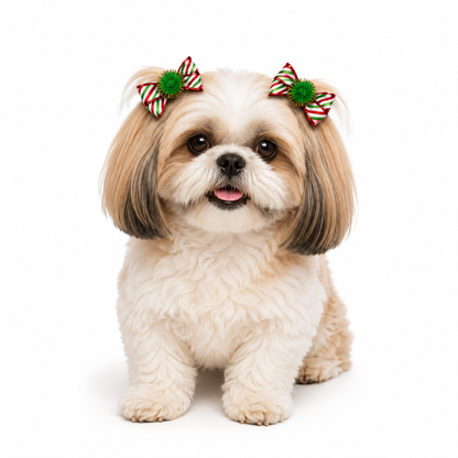 Green & Red Candy Stripe Christmas Dog Bow