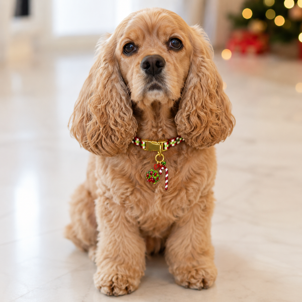 Christmas Paw &amp; Candy Cane Charm C