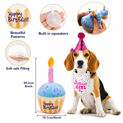 Birthday Celebration Set