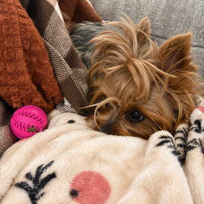 Interactive Squeaky Treat Dispensing Dog Ball