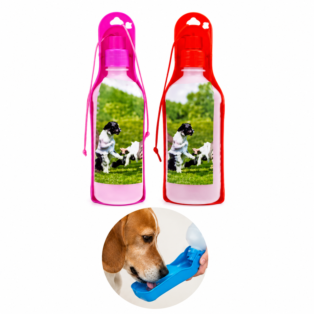 Portable Dog Water Bottle