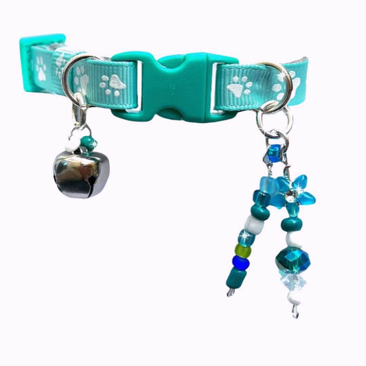 Turquoise - Standard Collar