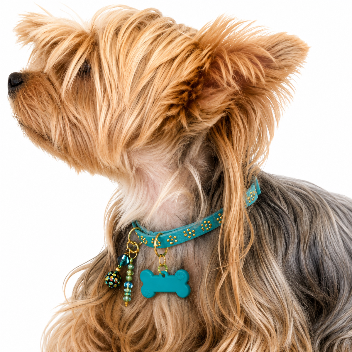 Turquoise 5pts Collar with Gold Inlays