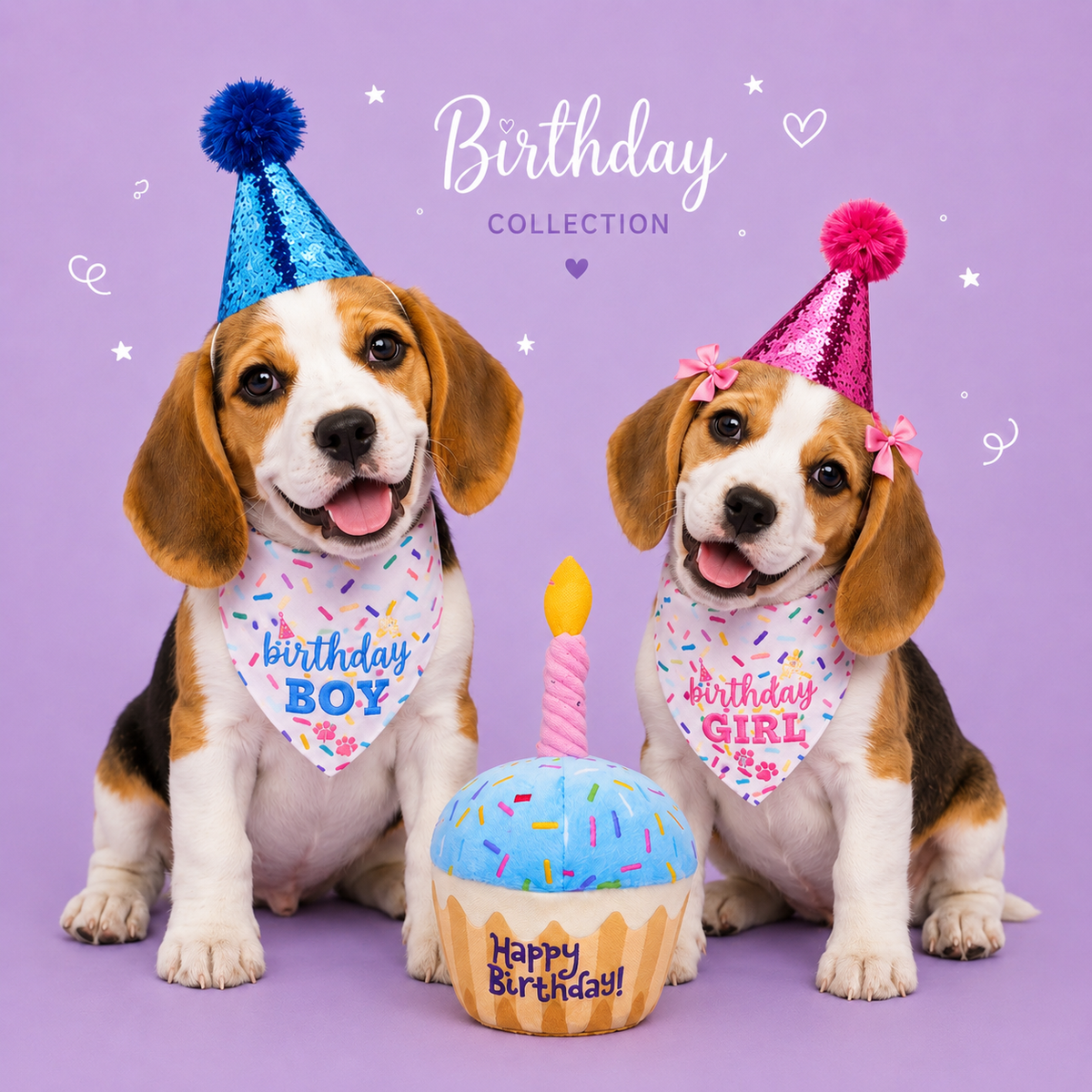 Birthday Celebration Set