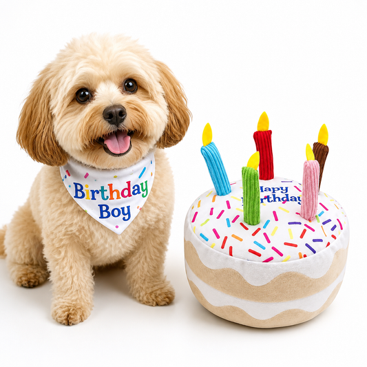 Birthday Cake Plush Squeaky Dog Toy