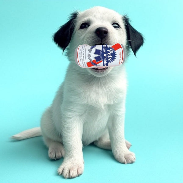 Pets Blue Ribbon Plush Dog Toy