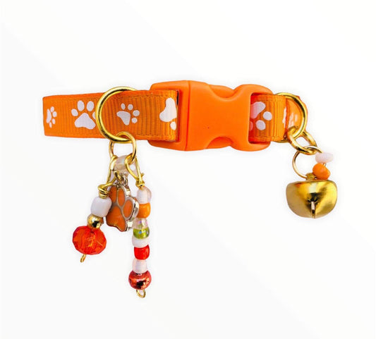 Orange Paw Print - Standard Collar