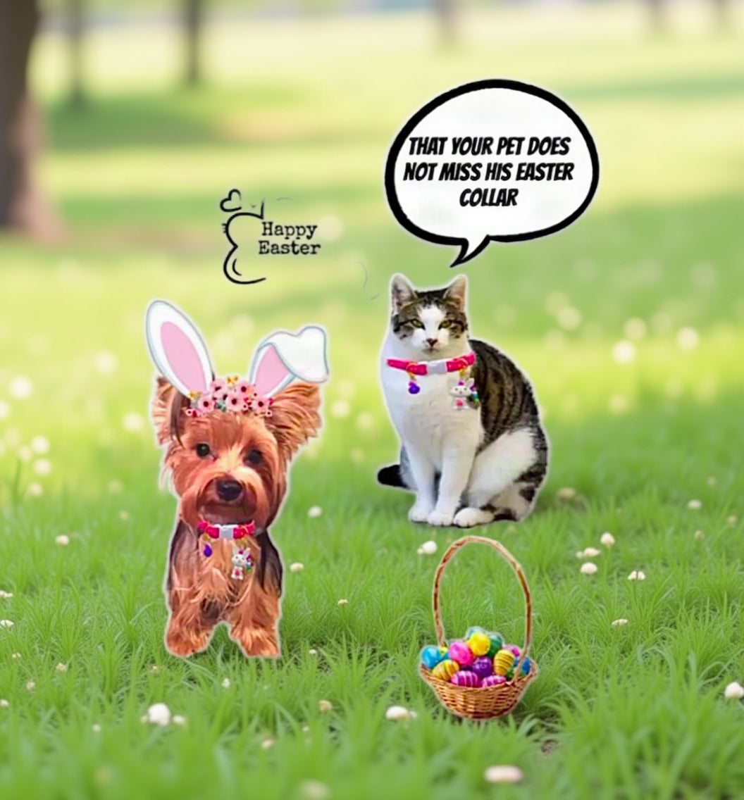 Easter Collar Collection - Rabbit