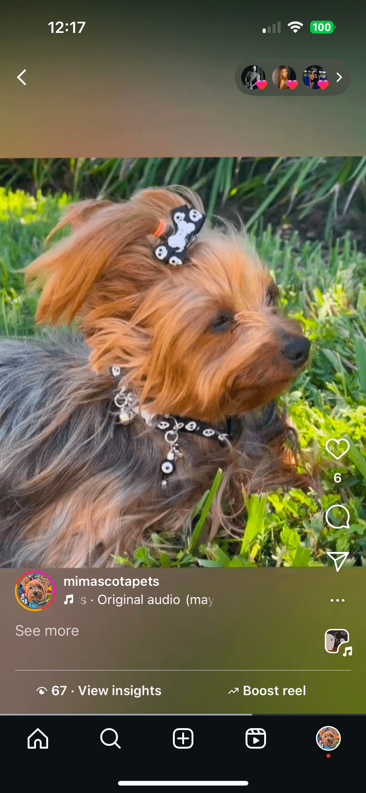 Halloween Collar Collection - 03
