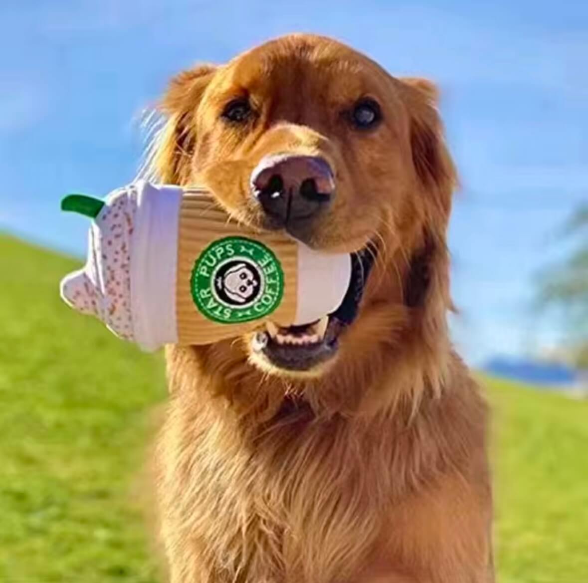 Stuffed Toy Food - Coffee Cup