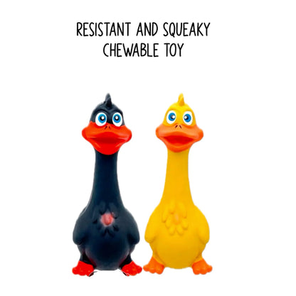 Funny Duck Squeaky Dog Toy