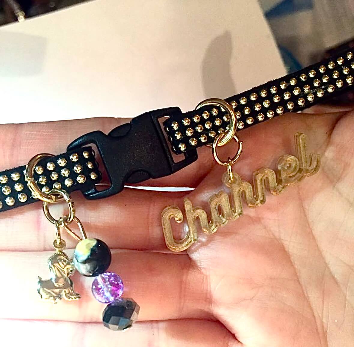 Black Collar with Gold Inlays