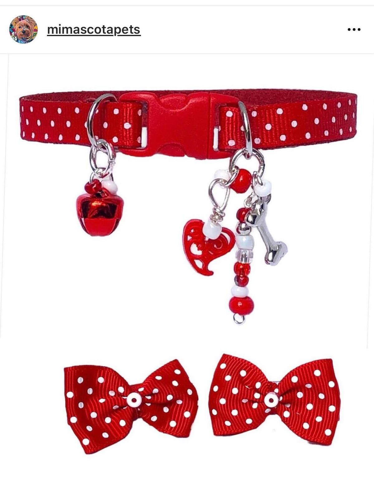Red Polka Dots - Standard Collar
