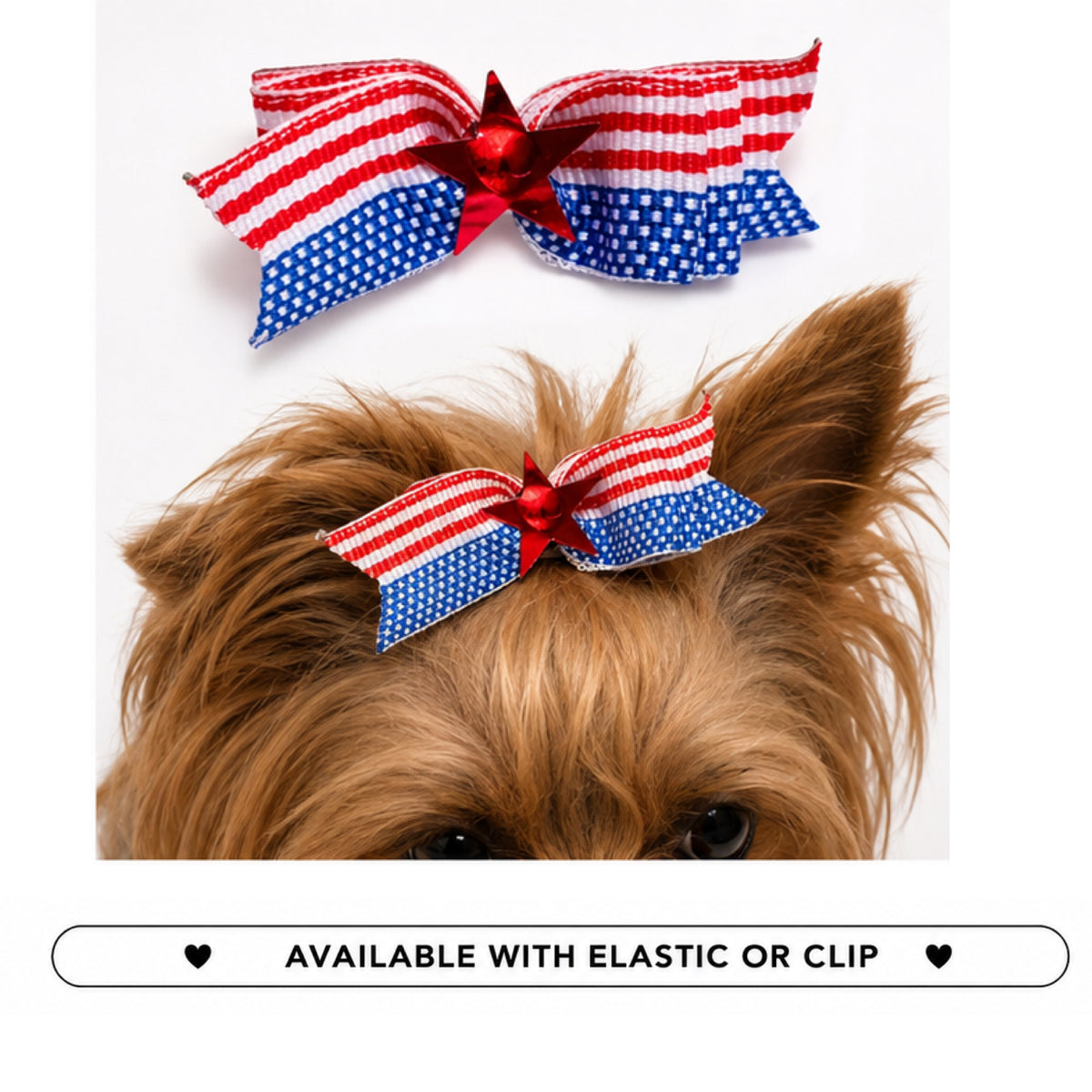 Blue, Red Star Dog Bow
