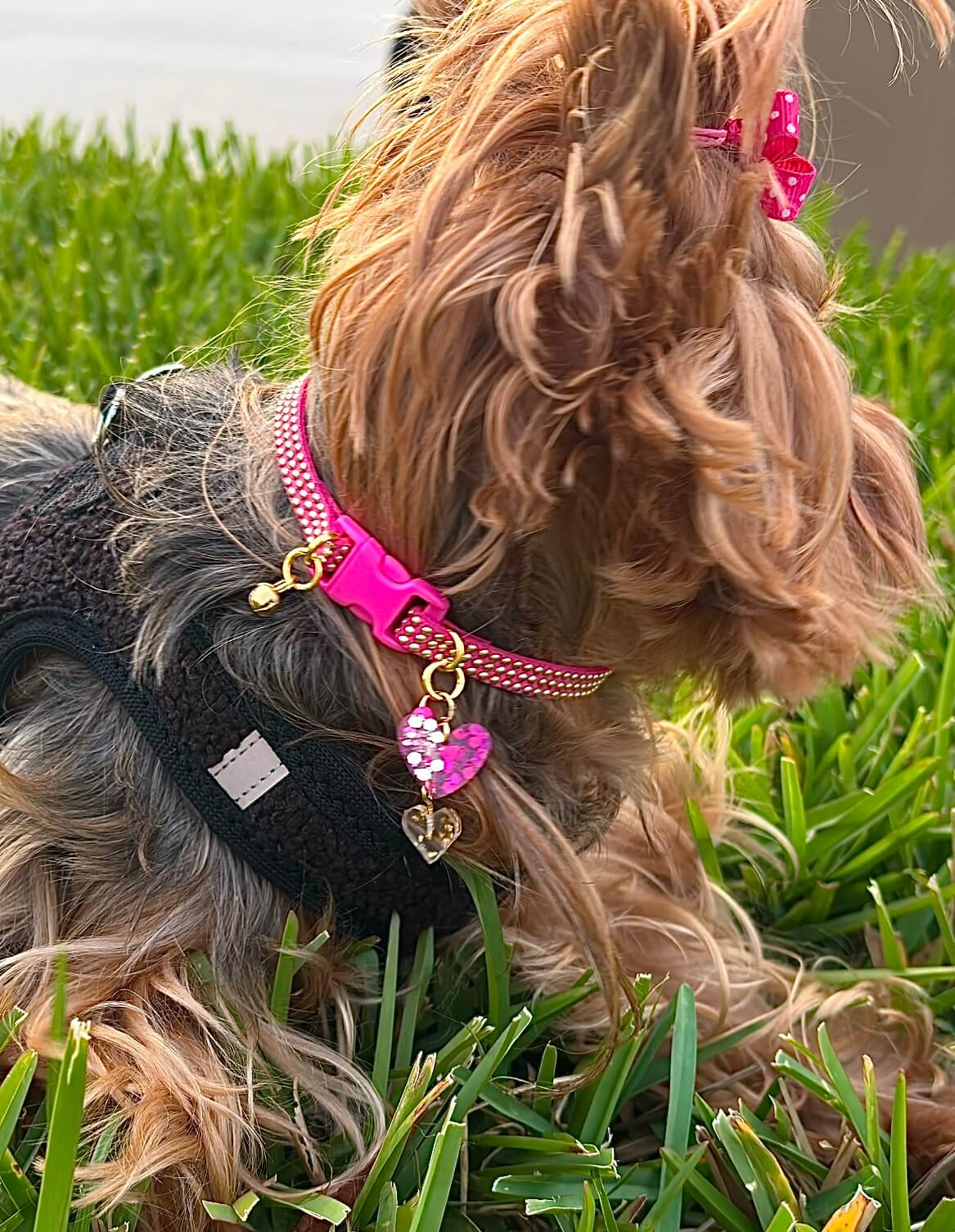Fuchsia Collar with Gold Inlays