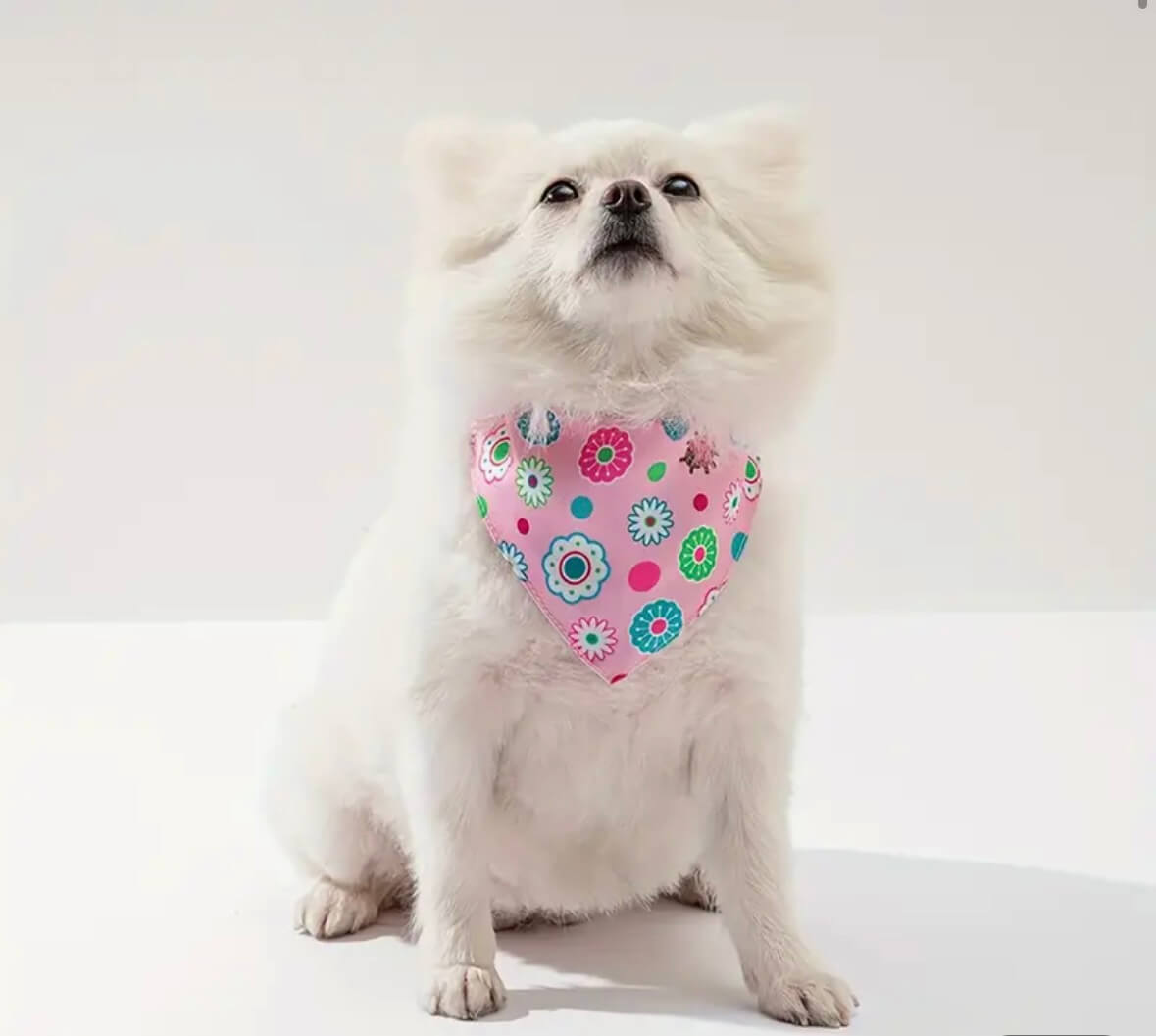 Pink Floral Bandana