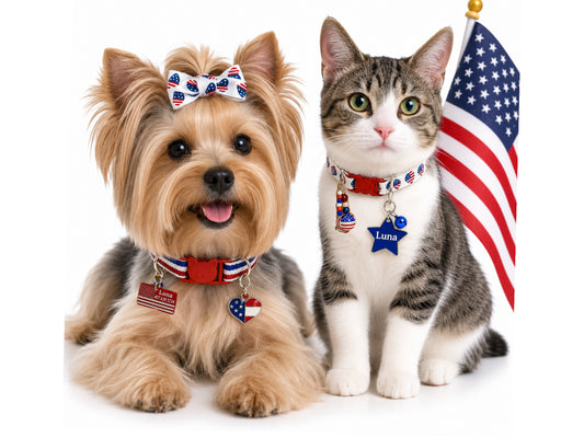 4th of July Day Acrylic Tags