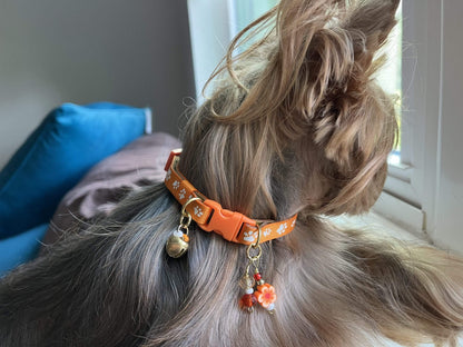 Huella de pata naranja - Collar estándar