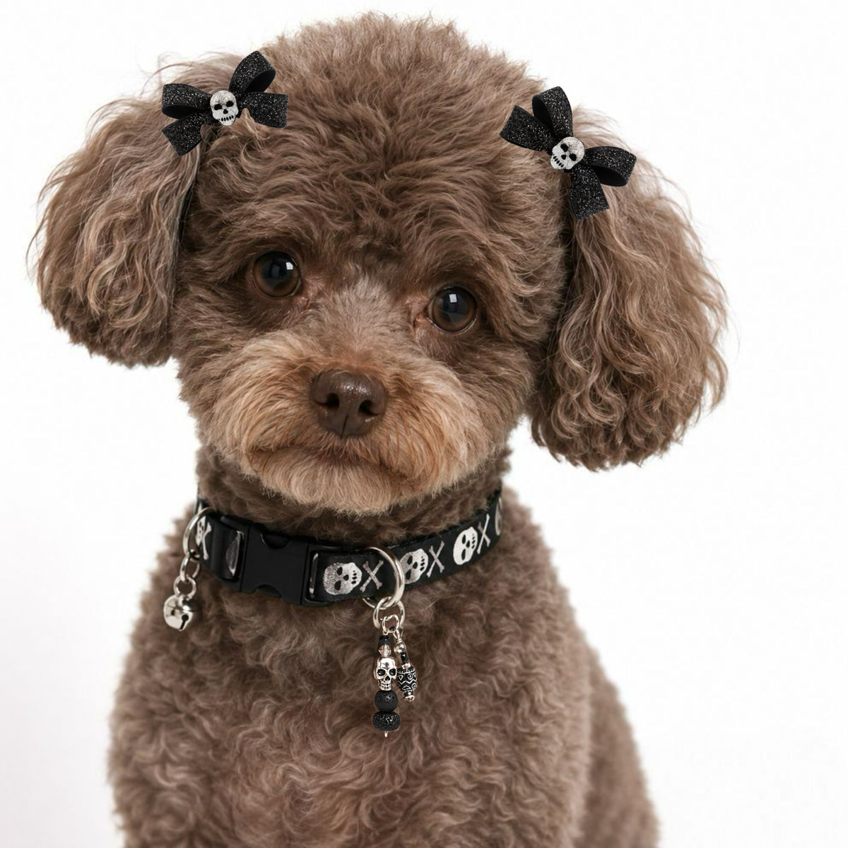 Black Rock Skull Dog Bow