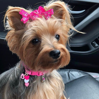 Fuchsia Floral Heart  Dog Bow