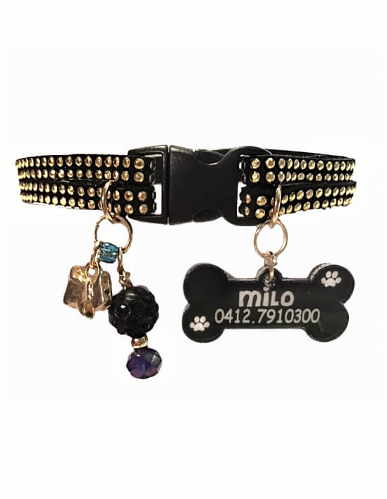 Slim Suede Duo with Gold Studs - Black 01