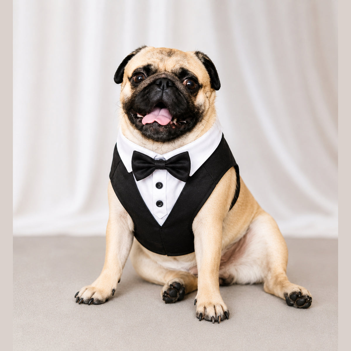 Black Tuxedo Dog Harness – Formal Suit for Male Dogs
