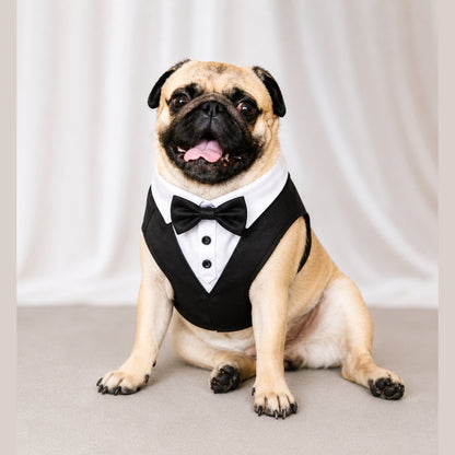 Black Tuxedo Dog Harness – Formal Suit for Male Dogs