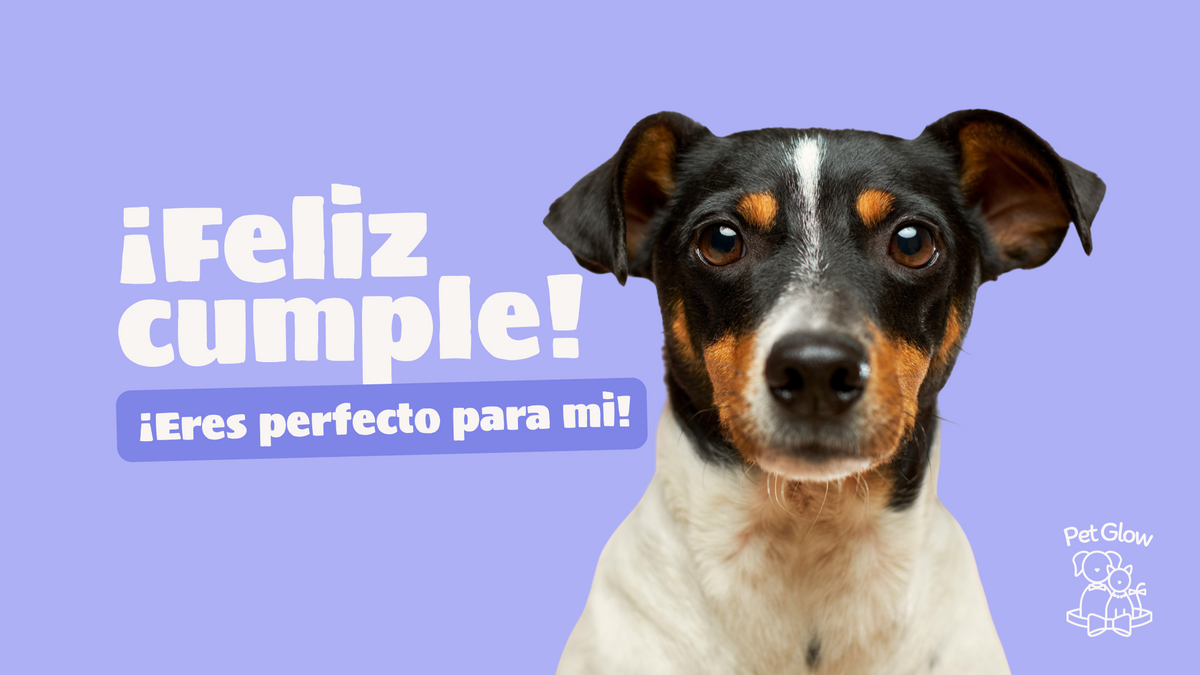 Tarjeta de regalo Petglow