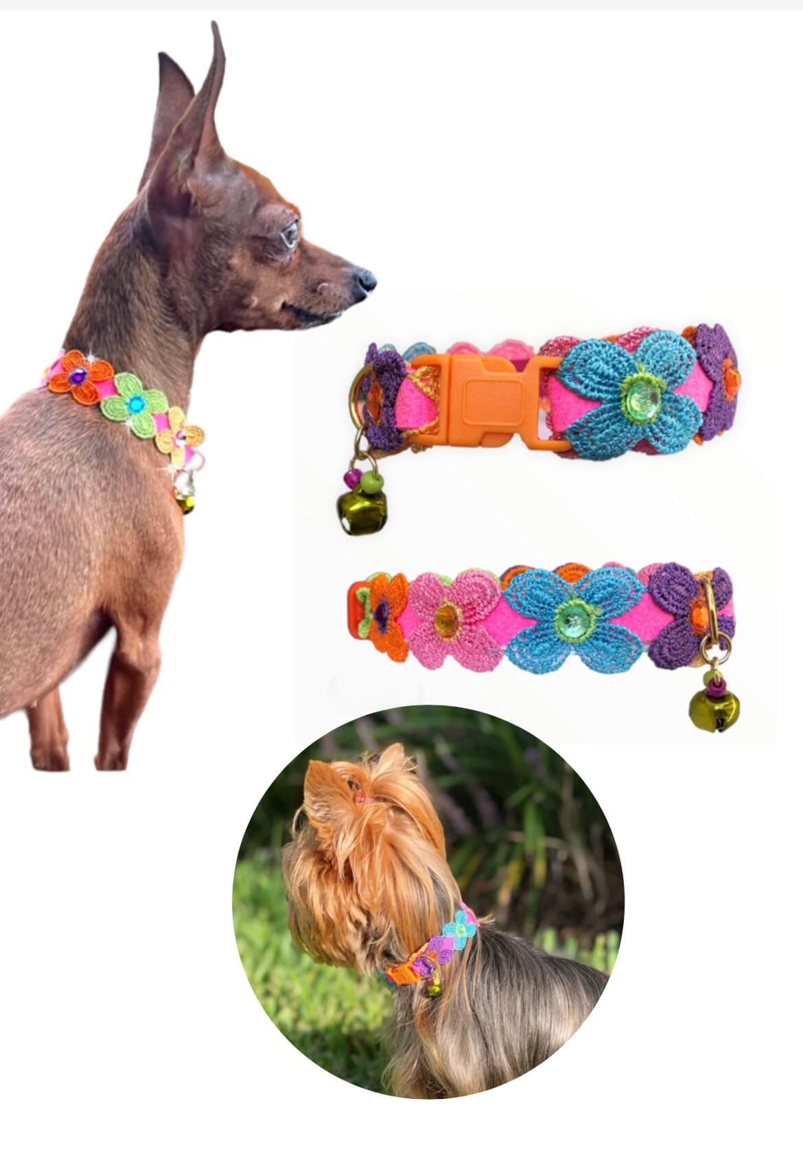 LGBT Collar - Multicolor 08