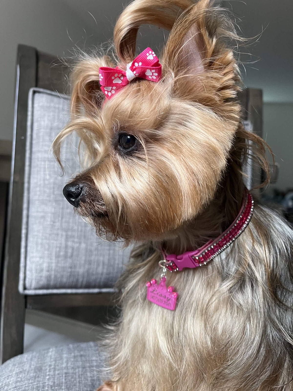 Fuchsia Stones Collar