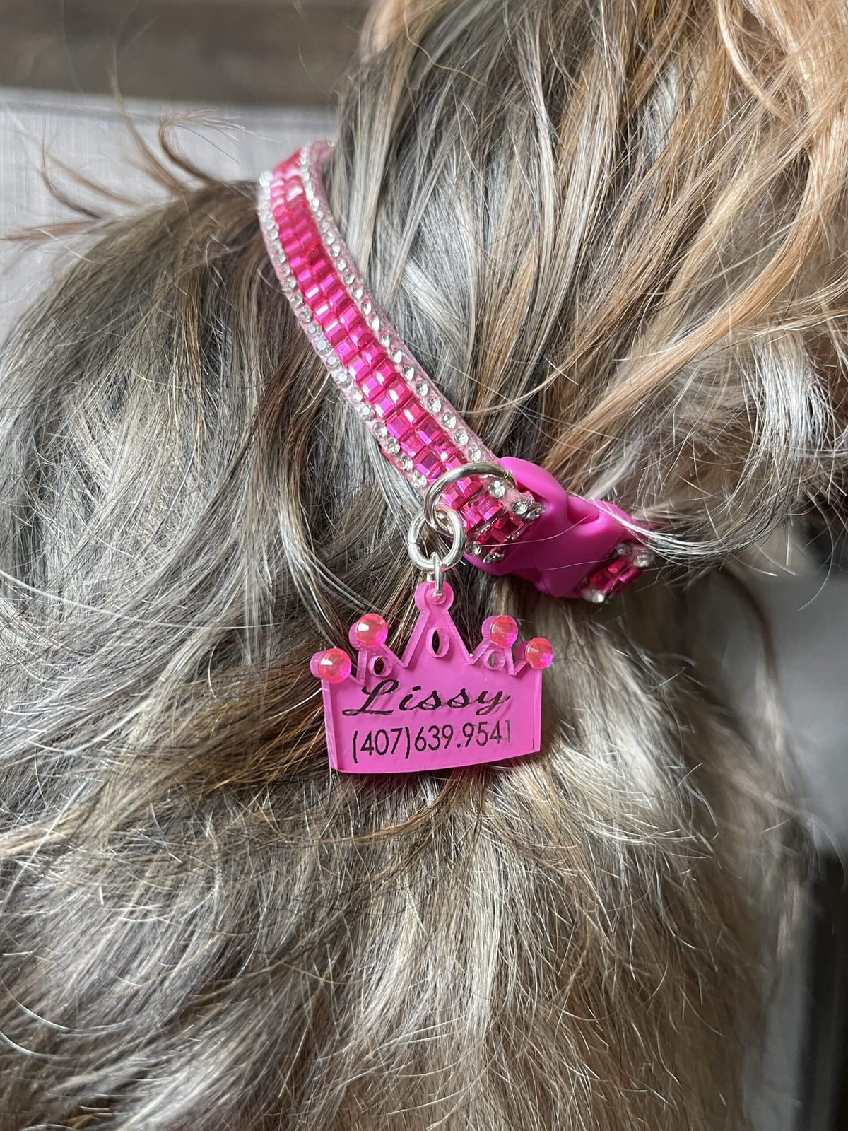 Fuchsia Stones Collar