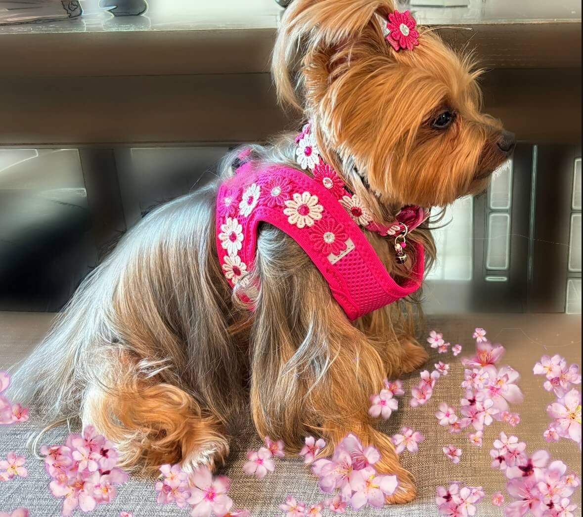 Flower Fuchsia Harness