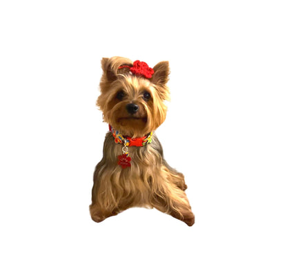 Red Clip Flower Collar