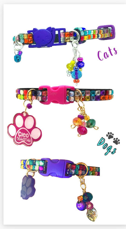 LGBT Collar - Multicolor 10