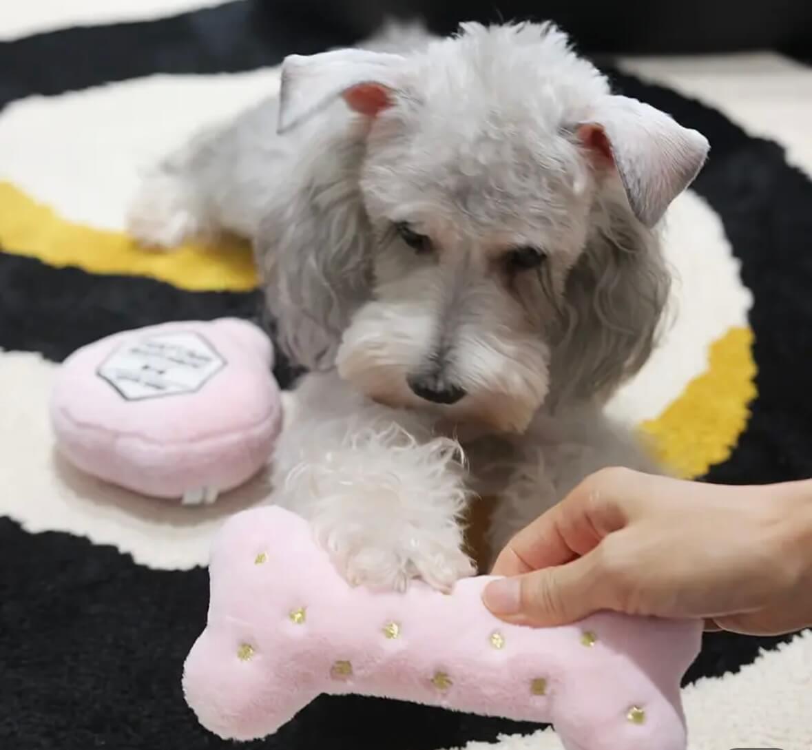 Stuffed Toy Set - Designer Bone & Perfume