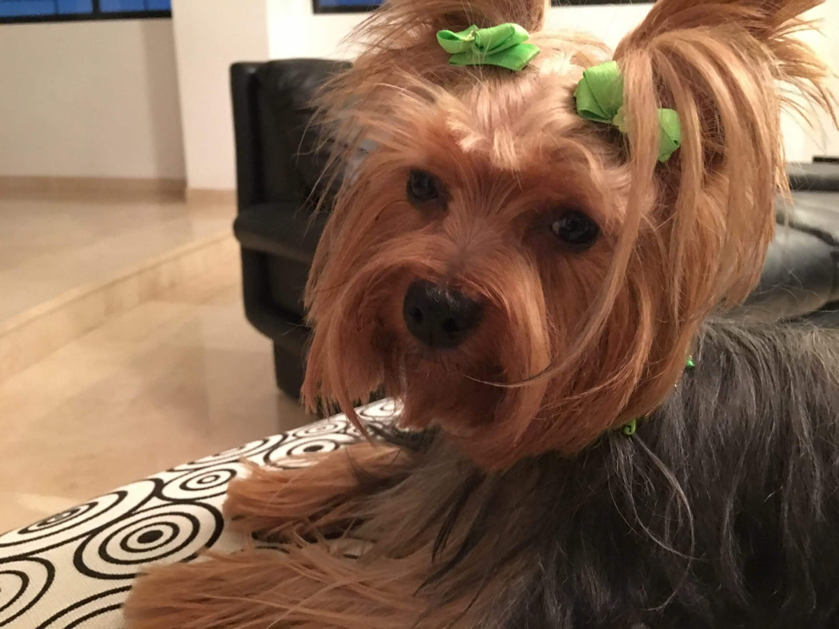 Green Stones Collar