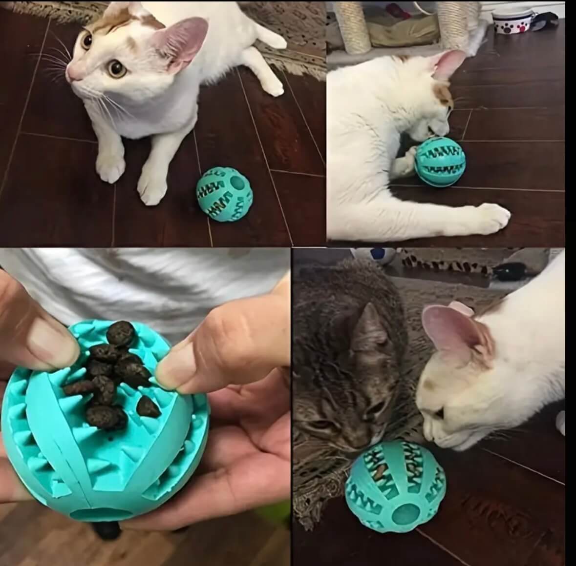 Interactive Small Ball - 5 cm.