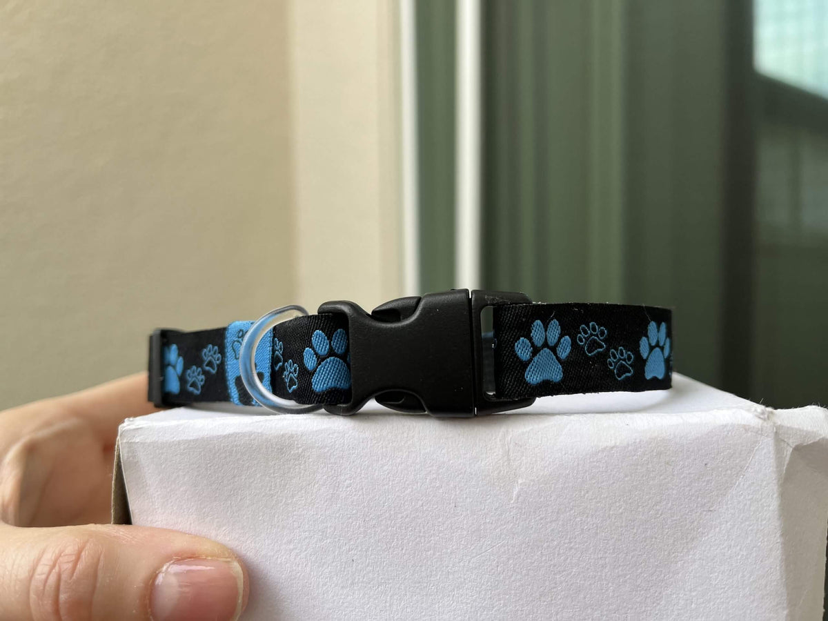 Huella de Pata Azul y Negra - Collar Estándar