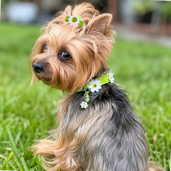 Pink Floral Bow