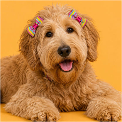 Multicolor  color Rainbow Stripe Dog Bow