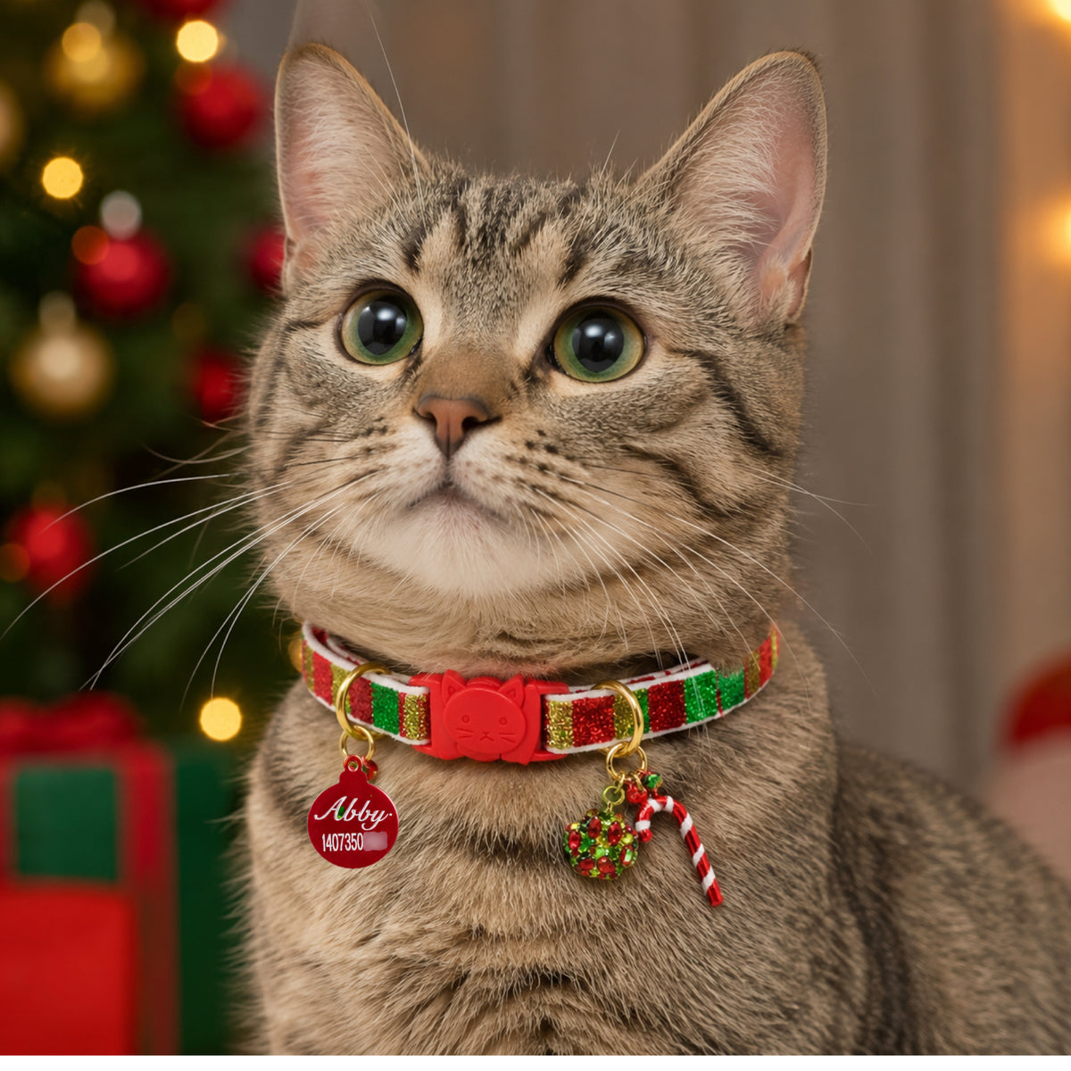 Cat Acrylic Tag
