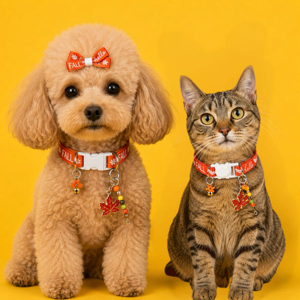 Fall Collar Collection